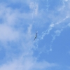 Horizon Airmeet Genderkingen 21.08.2016