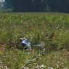 Airmeet Genderkingen 12