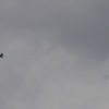 1dfh-msc-huelben-020809-044