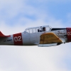 ICARE AIRMEET 13.06.2015