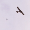 ICARE AIRMEET 13.06.2015