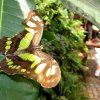 Mainau 23.07.2014