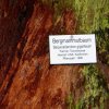 Mainau 23.07.2014