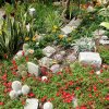 Mainau 23.07.2014