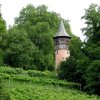 Mainau 23.07.2014