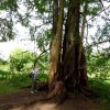 Mainau 23.07.2014