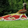 Mainau 23.07.2014