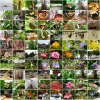 Mainau 23.07.2014