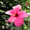 Mainau 23.07.2014