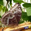 Mainau 23.07.2014
