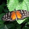 Mainau 23.07.2014