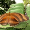 Mainau 23.07.2014