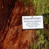 Mainau 23.07.2014