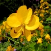 Mainau 23.07.2014
