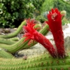 Mainau 23.07.2014