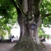 Mainau 23.07.2014