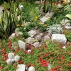 Mainau 23.07.2014