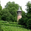 Mainau 23.07.2014