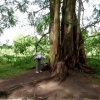 Mainau 23.07.2014