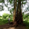 Mainau 23.07.2014