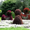 Mainau 23.07.2014