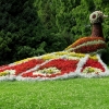 Mainau 23.07.2014