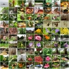 Mainau 23.07.2014