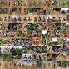 Int. 54. Reutlinger ADAC-Motocross 04.06 - 05.06.2016