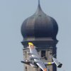 100 Jahre Wasserflugzeugbau FN