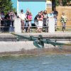 100 Jahre Wasserflugzeugbau FN