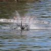 100 Jahre Wasserflugzeugbau FN