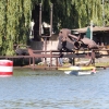 100 Jahre Wasserflugzeugbau FN