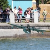 100 Jahre Wasserflugzeugbau FN