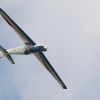 1dfh-kehl09_0003