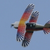 1dfh-kehl09_0009
