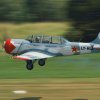 Kehler Flugtage 06.06.2015