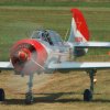 Kehler Flugtage 06.06.2015