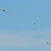 Kehler Flugtage 06.06.2015