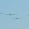 Kehler Flugtage 06.06.2015
