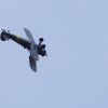 Kehler Flugtage 06.06.2015