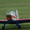 Kehler Flugtage 06.06.2015