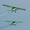 Kehler Flugtage 06.06.2015