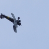 Kehler Flugtage 06.06.2015
