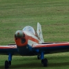 Kehler Flugtage 06.06.2015