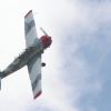 Kehler Flugtage 09.06.2012