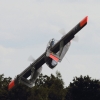 Kehler Flugtage 09.06.2012