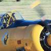 Kehler Flugtage 21.06.2014