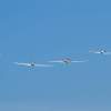 Kehler Flugtage 21.06.2014