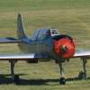 Kehler Flugtage 21.06.2014