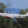 Kehler Flugtage 21.06.2014